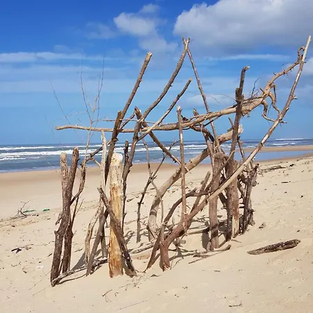 Destordeur * Moliets-et-Maa