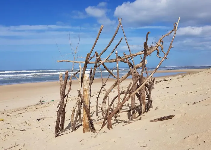 Destordeur * Moliets-et-Maa